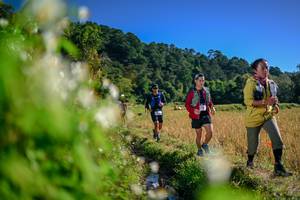 BIB: 
                            <button type="button" onclick="openModal(26573079)" class="btn btn-primary btn-sm float-right btn-popup" data-toggle="modal" data-target=".modal-high-quality">
                        <i class="fas fa-shopping-cart"></i> Add to Cart
                    </button>
                                            <button type="button" onclick="isThisMe(26573079, true)" class="btn btn-success btn-sm float-right btn-popup btn-isme hidden" data-toggle="tooltip" data-placement="bottom" title="นี่คือรูปของคุณใช่ไหม คลิกที่นี่เพื่อเอาเข้าอัลบั้ม">
                        <i class="fas fa-plus"></i> Add to album
                    </button>
                    <button type="button" onclick="isThisMe(26573079, false)" class="btn btn-warning btn-sm float-right btn-popup btn-isnotme hidden">
                        <i class="fas fa-ban"></i> Remove from album
                    </button>