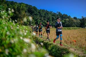 BIB: 
                            <button type="button" onclick="openModal(26582049)" class="btn btn-primary btn-sm float-right btn-popup" data-toggle="modal" data-target=".modal-high-quality">
                        <i class="fas fa-shopping-cart"></i> Add to Cart
                    </button>
                                            <button type="button" onclick="isThisMe(26582049, true)" class="btn btn-success btn-sm float-right btn-popup btn-isme hidden" data-toggle="tooltip" data-placement="bottom" title="นี่คือรูปของคุณใช่ไหม คลิกที่นี่เพื่อเอาเข้าอัลบั้ม">
                        <i class="fas fa-plus"></i> Add to album
                    </button>
                    <button type="button" onclick="isThisMe(26582049, false)" class="btn btn-warning btn-sm float-right btn-popup btn-isnotme hidden">
                        <i class="fas fa-ban"></i> Remove from album
                    </button>