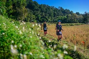 BIB: 
                            <button type="button" onclick="openModal(26571278)" class="btn btn-primary btn-sm float-right btn-popup" data-toggle="modal" data-target=".modal-high-quality">
                        <i class="fas fa-shopping-cart"></i> Add to Cart
                    </button>
                                            <button type="button" onclick="isThisMe(26571278, true)" class="btn btn-success btn-sm float-right btn-popup btn-isme hidden" data-toggle="tooltip" data-placement="bottom" title="นี่คือรูปของคุณใช่ไหม คลิกที่นี่เพื่อเอาเข้าอัลบั้ม">
                        <i class="fas fa-plus"></i> Add to album
                    </button>
                    <button type="button" onclick="isThisMe(26571278, false)" class="btn btn-warning btn-sm float-right btn-popup btn-isnotme hidden">
                        <i class="fas fa-ban"></i> Remove from album
                    </button>