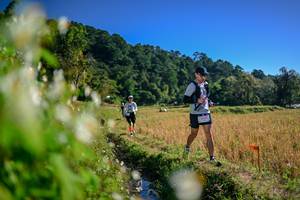 BIB: 
                            <button type="button" onclick="openModal(26572461)" class="btn btn-primary btn-sm float-right btn-popup" data-toggle="modal" data-target=".modal-high-quality">
                        <i class="fas fa-shopping-cart"></i> Add to Cart
                    </button>
                                            <button type="button" onclick="isThisMe(26572461, true)" class="btn btn-success btn-sm float-right btn-popup btn-isme hidden" data-toggle="tooltip" data-placement="bottom" title="นี่คือรูปของคุณใช่ไหม คลิกที่นี่เพื่อเอาเข้าอัลบั้ม">
                        <i class="fas fa-plus"></i> Add to album
                    </button>
                    <button type="button" onclick="isThisMe(26572461, false)" class="btn btn-warning btn-sm float-right btn-popup btn-isnotme hidden">
                        <i class="fas fa-ban"></i> Remove from album
                    </button>