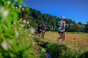 BIB: 
                            <button type="button" onclick="openModal(26580576)" class="btn btn-primary btn-sm float-right btn-popup" data-toggle="modal" data-target=".modal-high-quality">
                        <i class="fas fa-shopping-cart"></i> Add to Cart
                    </button>
                                            <button type="button" onclick="isThisMe(26580576, true)" class="btn btn-success btn-sm float-right btn-popup btn-isme hidden" data-toggle="tooltip" data-placement="bottom" title="นี่คือรูปของคุณใช่ไหม คลิกที่นี่เพื่อเอาเข้าอัลบั้ม">
                        <i class="fas fa-plus"></i> Add to album
                    </button>
                    <button type="button" onclick="isThisMe(26580576, false)" class="btn btn-warning btn-sm float-right btn-popup btn-isnotme hidden">
                        <i class="fas fa-ban"></i> Remove from album
                    </button>