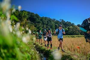 BIB: 
                            <button type="button" onclick="openModal(26572741)" class="btn btn-primary btn-sm float-right btn-popup" data-toggle="modal" data-target=".modal-high-quality">
                        <i class="fas fa-shopping-cart"></i> Add to Cart
                    </button>
                                            <button type="button" onclick="isThisMe(26572741, true)" class="btn btn-success btn-sm float-right btn-popup btn-isme hidden" data-toggle="tooltip" data-placement="bottom" title="นี่คือรูปของคุณใช่ไหม คลิกที่นี่เพื่อเอาเข้าอัลบั้ม">
                        <i class="fas fa-plus"></i> Add to album
                    </button>
                    <button type="button" onclick="isThisMe(26572741, false)" class="btn btn-warning btn-sm float-right btn-popup btn-isnotme hidden">
                        <i class="fas fa-ban"></i> Remove from album
                    </button>