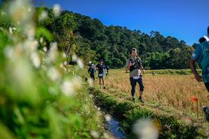 BIB: 
                            <button type="button" onclick="openModal(26573464)" class="btn btn-primary btn-sm float-right btn-popup" data-toggle="modal" data-target=".modal-high-quality">
                        <i class="fas fa-shopping-cart"></i> Add to Cart
                    </button>
                                            <button type="button" onclick="isThisMe(26573464, true)" class="btn btn-success btn-sm float-right btn-popup btn-isme hidden" data-toggle="tooltip" data-placement="bottom" title="นี่คือรูปของคุณใช่ไหม คลิกที่นี่เพื่อเอาเข้าอัลบั้ม">
                        <i class="fas fa-plus"></i> Add to album
                    </button>
                    <button type="button" onclick="isThisMe(26573464, false)" class="btn btn-warning btn-sm float-right btn-popup btn-isnotme hidden">
                        <i class="fas fa-ban"></i> Remove from album
                    </button>