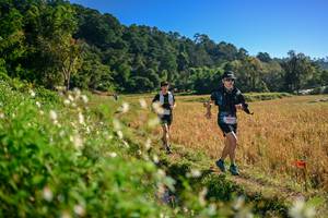 BIB: 
                            <button type="button" onclick="openModal(26571243)" class="btn btn-primary btn-sm float-right btn-popup" data-toggle="modal" data-target=".modal-high-quality">
                        <i class="fas fa-shopping-cart"></i> Add to Cart
                    </button>
                                            <button type="button" onclick="isThisMe(26571243, true)" class="btn btn-success btn-sm float-right btn-popup btn-isme hidden" data-toggle="tooltip" data-placement="bottom" title="นี่คือรูปของคุณใช่ไหม คลิกที่นี่เพื่อเอาเข้าอัลบั้ม">
                        <i class="fas fa-plus"></i> Add to album
                    </button>
                    <button type="button" onclick="isThisMe(26571243, false)" class="btn btn-warning btn-sm float-right btn-popup btn-isnotme hidden">
                        <i class="fas fa-ban"></i> Remove from album
                    </button>