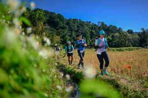 BIB: 
                            <button type="button" onclick="openModal(26574836)" class="btn btn-primary btn-sm float-right btn-popup" data-toggle="modal" data-target=".modal-high-quality">
                        <i class="fas fa-shopping-cart"></i> Add to Cart
                    </button>
                                            <button type="button" onclick="isThisMe(26574836, true)" class="btn btn-success btn-sm float-right btn-popup btn-isme hidden" data-toggle="tooltip" data-placement="bottom" title="นี่คือรูปของคุณใช่ไหม คลิกที่นี่เพื่อเอาเข้าอัลบั้ม">
                        <i class="fas fa-plus"></i> Add to album
                    </button>
                    <button type="button" onclick="isThisMe(26574836, false)" class="btn btn-warning btn-sm float-right btn-popup btn-isnotme hidden">
                        <i class="fas fa-ban"></i> Remove from album
                    </button>