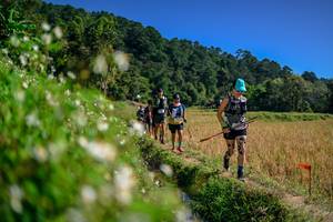 BIB: 
                            <button type="button" onclick="openModal(26582981)" class="btn btn-primary btn-sm float-right btn-popup" data-toggle="modal" data-target=".modal-high-quality">
                        <i class="fas fa-shopping-cart"></i> Add to Cart
                    </button>
                                            <button type="button" onclick="isThisMe(26582981, true)" class="btn btn-success btn-sm float-right btn-popup btn-isme hidden" data-toggle="tooltip" data-placement="bottom" title="นี่คือรูปของคุณใช่ไหม คลิกที่นี่เพื่อเอาเข้าอัลบั้ม">
                        <i class="fas fa-plus"></i> Add to album
                    </button>
                    <button type="button" onclick="isThisMe(26582981, false)" class="btn btn-warning btn-sm float-right btn-popup btn-isnotme hidden">
                        <i class="fas fa-ban"></i> Remove from album
                    </button>