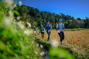 BIB: 
                            <button type="button" onclick="openModal(26574835)" class="btn btn-primary btn-sm float-right btn-popup" data-toggle="modal" data-target=".modal-high-quality">
                        <i class="fas fa-shopping-cart"></i> Add to Cart
                    </button>
                                            <button type="button" onclick="isThisMe(26574835, true)" class="btn btn-success btn-sm float-right btn-popup btn-isme hidden" data-toggle="tooltip" data-placement="bottom" title="นี่คือรูปของคุณใช่ไหม คลิกที่นี่เพื่อเอาเข้าอัลบั้ม">
                        <i class="fas fa-plus"></i> Add to album
                    </button>
                    <button type="button" onclick="isThisMe(26574835, false)" class="btn btn-warning btn-sm float-right btn-popup btn-isnotme hidden">
                        <i class="fas fa-ban"></i> Remove from album
                    </button>