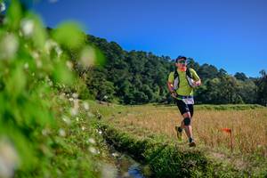 BIB: 
                            <button type="button" onclick="openModal(26580775)" class="btn btn-primary btn-sm float-right btn-popup" data-toggle="modal" data-target=".modal-high-quality">
                        <i class="fas fa-shopping-cart"></i> Add to Cart
                    </button>
                                            <button type="button" onclick="isThisMe(26580775, true)" class="btn btn-success btn-sm float-right btn-popup btn-isme hidden" data-toggle="tooltip" data-placement="bottom" title="นี่คือรูปของคุณใช่ไหม คลิกที่นี่เพื่อเอาเข้าอัลบั้ม">
                        <i class="fas fa-plus"></i> Add to album
                    </button>
                    <button type="button" onclick="isThisMe(26580775, false)" class="btn btn-warning btn-sm float-right btn-popup btn-isnotme hidden">
                        <i class="fas fa-ban"></i> Remove from album
                    </button>