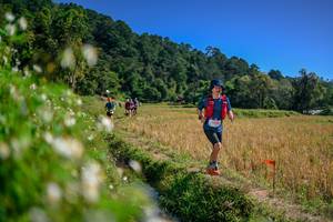 BIB: 
                            <button type="button" onclick="openModal(26582728)" class="btn btn-primary btn-sm float-right btn-popup" data-toggle="modal" data-target=".modal-high-quality">
                        <i class="fas fa-shopping-cart"></i> Add to Cart
                    </button>
                                            <button type="button" onclick="isThisMe(26582728, true)" class="btn btn-success btn-sm float-right btn-popup btn-isme hidden" data-toggle="tooltip" data-placement="bottom" title="นี่คือรูปของคุณใช่ไหม คลิกที่นี่เพื่อเอาเข้าอัลบั้ม">
                        <i class="fas fa-plus"></i> Add to album
                    </button>
                    <button type="button" onclick="isThisMe(26582728, false)" class="btn btn-warning btn-sm float-right btn-popup btn-isnotme hidden">
                        <i class="fas fa-ban"></i> Remove from album
                    </button>