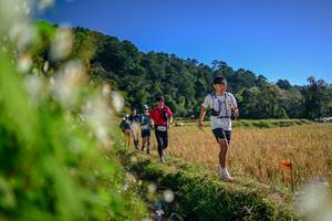 BIB: 
                            <button type="button" onclick="openModal(26572092)" class="btn btn-primary btn-sm float-right btn-popup" data-toggle="modal" data-target=".modal-high-quality">
                        <i class="fas fa-shopping-cart"></i> Add to Cart
                    </button>
                                            <button type="button" onclick="isThisMe(26572092, true)" class="btn btn-success btn-sm float-right btn-popup btn-isme hidden" data-toggle="tooltip" data-placement="bottom" title="นี่คือรูปของคุณใช่ไหม คลิกที่นี่เพื่อเอาเข้าอัลบั้ม">
                        <i class="fas fa-plus"></i> Add to album
                    </button>
                    <button type="button" onclick="isThisMe(26572092, false)" class="btn btn-warning btn-sm float-right btn-popup btn-isnotme hidden">
                        <i class="fas fa-ban"></i> Remove from album
                    </button>