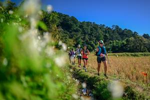 BIB: 
                            <button type="button" onclick="openModal(26572939)" class="btn btn-primary btn-sm float-right btn-popup" data-toggle="modal" data-target=".modal-high-quality">
                        <i class="fas fa-shopping-cart"></i> Add to Cart
                    </button>
                                            <button type="button" onclick="isThisMe(26572939, true)" class="btn btn-success btn-sm float-right btn-popup btn-isme hidden" data-toggle="tooltip" data-placement="bottom" title="นี่คือรูปของคุณใช่ไหม คลิกที่นี่เพื่อเอาเข้าอัลบั้ม">
                        <i class="fas fa-plus"></i> Add to album
                    </button>
                    <button type="button" onclick="isThisMe(26572939, false)" class="btn btn-warning btn-sm float-right btn-popup btn-isnotme hidden">
                        <i class="fas fa-ban"></i> Remove from album
                    </button>