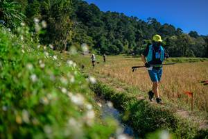 BIB: 
                            <button type="button" onclick="openModal(26581781)" class="btn btn-primary btn-sm float-right btn-popup" data-toggle="modal" data-target=".modal-high-quality">
                        <i class="fas fa-shopping-cart"></i> Add to Cart
                    </button>
                                            <button type="button" onclick="isThisMe(26581781, true)" class="btn btn-success btn-sm float-right btn-popup btn-isme hidden" data-toggle="tooltip" data-placement="bottom" title="นี่คือรูปของคุณใช่ไหม คลิกที่นี่เพื่อเอาเข้าอัลบั้ม">
                        <i class="fas fa-plus"></i> Add to album
                    </button>
                    <button type="button" onclick="isThisMe(26581781, false)" class="btn btn-warning btn-sm float-right btn-popup btn-isnotme hidden">
                        <i class="fas fa-ban"></i> Remove from album
                    </button>