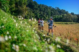 BIB: 
                            <button type="button" onclick="openModal(26571363)" class="btn btn-primary btn-sm float-right btn-popup" data-toggle="modal" data-target=".modal-high-quality">
                        <i class="fas fa-shopping-cart"></i> Add to Cart
                    </button>
                                            <button type="button" onclick="isThisMe(26571363, true)" class="btn btn-success btn-sm float-right btn-popup btn-isme hidden" data-toggle="tooltip" data-placement="bottom" title="นี่คือรูปของคุณใช่ไหม คลิกที่นี่เพื่อเอาเข้าอัลบั้ม">
                        <i class="fas fa-plus"></i> Add to album
                    </button>
                    <button type="button" onclick="isThisMe(26571363, false)" class="btn btn-warning btn-sm float-right btn-popup btn-isnotme hidden">
                        <i class="fas fa-ban"></i> Remove from album
                    </button>