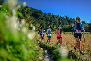 BIB: 
                            <button type="button" onclick="openModal(26572958)" class="btn btn-primary btn-sm float-right btn-popup" data-toggle="modal" data-target=".modal-high-quality">
                        <i class="fas fa-shopping-cart"></i> Add to Cart
                    </button>
                                            <button type="button" onclick="isThisMe(26572958, true)" class="btn btn-success btn-sm float-right btn-popup btn-isme hidden" data-toggle="tooltip" data-placement="bottom" title="นี่คือรูปของคุณใช่ไหม คลิกที่นี่เพื่อเอาเข้าอัลบั้ม">
                        <i class="fas fa-plus"></i> Add to album
                    </button>
                    <button type="button" onclick="isThisMe(26572958, false)" class="btn btn-warning btn-sm float-right btn-popup btn-isnotme hidden">
                        <i class="fas fa-ban"></i> Remove from album
                    </button>