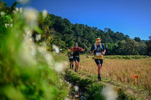 BIB: 
                            <button type="button" onclick="openModal(26573637)" class="btn btn-primary btn-sm float-right btn-popup" data-toggle="modal" data-target=".modal-high-quality">
                        <i class="fas fa-shopping-cart"></i> Add to Cart
                    </button>
                                            <button type="button" onclick="isThisMe(26573637, true)" class="btn btn-success btn-sm float-right btn-popup btn-isme hidden" data-toggle="tooltip" data-placement="bottom" title="นี่คือรูปของคุณใช่ไหม คลิกที่นี่เพื่อเอาเข้าอัลบั้ม">
                        <i class="fas fa-plus"></i> Add to album
                    </button>
                    <button type="button" onclick="isThisMe(26573637, false)" class="btn btn-warning btn-sm float-right btn-popup btn-isnotme hidden">
                        <i class="fas fa-ban"></i> Remove from album
                    </button>