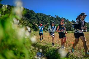 BIB: 
                            <button type="button" onclick="openModal(26575172)" class="btn btn-primary btn-sm float-right btn-popup" data-toggle="modal" data-target=".modal-high-quality">
                        <i class="fas fa-shopping-cart"></i> Add to Cart
                    </button>
                                            <button type="button" onclick="isThisMe(26575172, true)" class="btn btn-success btn-sm float-right btn-popup btn-isme hidden" data-toggle="tooltip" data-placement="bottom" title="นี่คือรูปของคุณใช่ไหม คลิกที่นี่เพื่อเอาเข้าอัลบั้ม">
                        <i class="fas fa-plus"></i> Add to album
                    </button>
                    <button type="button" onclick="isThisMe(26575172, false)" class="btn btn-warning btn-sm float-right btn-popup btn-isnotme hidden">
                        <i class="fas fa-ban"></i> Remove from album
                    </button>