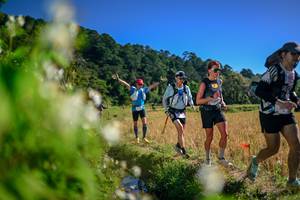 BIB: 
                            <button type="button" onclick="openModal(26575186)" class="btn btn-primary btn-sm float-right btn-popup" data-toggle="modal" data-target=".modal-high-quality">
                        <i class="fas fa-shopping-cart"></i> Add to Cart
                    </button>
                                            <button type="button" onclick="isThisMe(26575186, true)" class="btn btn-success btn-sm float-right btn-popup btn-isme hidden" data-toggle="tooltip" data-placement="bottom" title="นี่คือรูปของคุณใช่ไหม คลิกที่นี่เพื่อเอาเข้าอัลบั้ม">
                        <i class="fas fa-plus"></i> Add to album
                    </button>
                    <button type="button" onclick="isThisMe(26575186, false)" class="btn btn-warning btn-sm float-right btn-popup btn-isnotme hidden">
                        <i class="fas fa-ban"></i> Remove from album
                    </button>