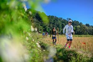 BIB: 
                            <button type="button" onclick="openModal(26581164)" class="btn btn-primary btn-sm float-right btn-popup" data-toggle="modal" data-target=".modal-high-quality">
                        <i class="fas fa-shopping-cart"></i> Add to Cart
                    </button>
                                            <button type="button" onclick="isThisMe(26581164, true)" class="btn btn-success btn-sm float-right btn-popup btn-isme hidden" data-toggle="tooltip" data-placement="bottom" title="นี่คือรูปของคุณใช่ไหม คลิกที่นี่เพื่อเอาเข้าอัลบั้ม">
                        <i class="fas fa-plus"></i> Add to album
                    </button>
                    <button type="button" onclick="isThisMe(26581164, false)" class="btn btn-warning btn-sm float-right btn-popup btn-isnotme hidden">
                        <i class="fas fa-ban"></i> Remove from album
                    </button>