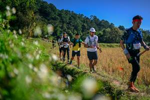 BIB: 
                            <button type="button" onclick="openModal(26576240)" class="btn btn-primary btn-sm float-right btn-popup" data-toggle="modal" data-target=".modal-high-quality">
                        <i class="fas fa-shopping-cart"></i> Add to Cart
                    </button>
                                            <button type="button" onclick="isThisMe(26576240, true)" class="btn btn-success btn-sm float-right btn-popup btn-isme hidden" data-toggle="tooltip" data-placement="bottom" title="นี่คือรูปของคุณใช่ไหม คลิกที่นี่เพื่อเอาเข้าอัลบั้ม">
                        <i class="fas fa-plus"></i> Add to album
                    </button>
                    <button type="button" onclick="isThisMe(26576240, false)" class="btn btn-warning btn-sm float-right btn-popup btn-isnotme hidden">
                        <i class="fas fa-ban"></i> Remove from album
                    </button>