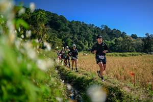 BIB: 
                            <button type="button" onclick="openModal(26574059)" class="btn btn-primary btn-sm float-right btn-popup" data-toggle="modal" data-target=".modal-high-quality">
                        <i class="fas fa-shopping-cart"></i> Add to Cart
                    </button>
                                            <button type="button" onclick="isThisMe(26574059, true)" class="btn btn-success btn-sm float-right btn-popup btn-isme hidden" data-toggle="tooltip" data-placement="bottom" title="นี่คือรูปของคุณใช่ไหม คลิกที่นี่เพื่อเอาเข้าอัลบั้ม">
                        <i class="fas fa-plus"></i> Add to album
                    </button>
                    <button type="button" onclick="isThisMe(26574059, false)" class="btn btn-warning btn-sm float-right btn-popup btn-isnotme hidden">
                        <i class="fas fa-ban"></i> Remove from album
                    </button>