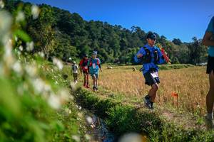 BIB: 
                            <button type="button" onclick="openModal(26574661)" class="btn btn-primary btn-sm float-right btn-popup" data-toggle="modal" data-target=".modal-high-quality">
                        <i class="fas fa-shopping-cart"></i> Add to Cart
                    </button>
                                            <button type="button" onclick="isThisMe(26574661, true)" class="btn btn-success btn-sm float-right btn-popup btn-isme hidden" data-toggle="tooltip" data-placement="bottom" title="นี่คือรูปของคุณใช่ไหม คลิกที่นี่เพื่อเอาเข้าอัลบั้ม">
                        <i class="fas fa-plus"></i> Add to album
                    </button>
                    <button type="button" onclick="isThisMe(26574661, false)" class="btn btn-warning btn-sm float-right btn-popup btn-isnotme hidden">
                        <i class="fas fa-ban"></i> Remove from album
                    </button>