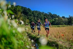 BIB: 
                            <button type="button" onclick="openModal(26574483)" class="btn btn-primary btn-sm float-right btn-popup" data-toggle="modal" data-target=".modal-high-quality">
                        <i class="fas fa-shopping-cart"></i> Add to Cart
                    </button>
                                            <button type="button" onclick="isThisMe(26574483, true)" class="btn btn-success btn-sm float-right btn-popup btn-isme hidden" data-toggle="tooltip" data-placement="bottom" title="นี่คือรูปของคุณใช่ไหม คลิกที่นี่เพื่อเอาเข้าอัลบั้ม">
                        <i class="fas fa-plus"></i> Add to album
                    </button>
                    <button type="button" onclick="isThisMe(26574483, false)" class="btn btn-warning btn-sm float-right btn-popup btn-isnotme hidden">
                        <i class="fas fa-ban"></i> Remove from album
                    </button>