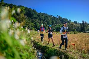 BIB: 
                            <button type="button" onclick="openModal(26571622)" class="btn btn-primary btn-sm float-right btn-popup" data-toggle="modal" data-target=".modal-high-quality">
                        <i class="fas fa-shopping-cart"></i> Add to Cart
                    </button>
                                            <button type="button" onclick="isThisMe(26571622, true)" class="btn btn-success btn-sm float-right btn-popup btn-isme hidden" data-toggle="tooltip" data-placement="bottom" title="นี่คือรูปของคุณใช่ไหม คลิกที่นี่เพื่อเอาเข้าอัลบั้ม">
                        <i class="fas fa-plus"></i> Add to album
                    </button>
                    <button type="button" onclick="isThisMe(26571622, false)" class="btn btn-warning btn-sm float-right btn-popup btn-isnotme hidden">
                        <i class="fas fa-ban"></i> Remove from album
                    </button>