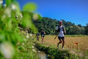 BIB: 
                            <button type="button" onclick="openModal(26580838)" class="btn btn-primary btn-sm float-right btn-popup" data-toggle="modal" data-target=".modal-high-quality">
                        <i class="fas fa-shopping-cart"></i> Add to Cart
                    </button>
                                            <button type="button" onclick="isThisMe(26580838, true)" class="btn btn-success btn-sm float-right btn-popup btn-isme hidden" data-toggle="tooltip" data-placement="bottom" title="นี่คือรูปของคุณใช่ไหม คลิกที่นี่เพื่อเอาเข้าอัลบั้ม">
                        <i class="fas fa-plus"></i> Add to album
                    </button>
                    <button type="button" onclick="isThisMe(26580838, false)" class="btn btn-warning btn-sm float-right btn-popup btn-isnotme hidden">
                        <i class="fas fa-ban"></i> Remove from album
                    </button>