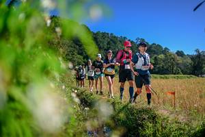 BIB: 
                            <button type="button" onclick="openModal(26580949)" class="btn btn-primary btn-sm float-right btn-popup" data-toggle="modal" data-target=".modal-high-quality">
                        <i class="fas fa-shopping-cart"></i> Add to Cart
                    </button>
                                            <button type="button" onclick="isThisMe(26580949, true)" class="btn btn-success btn-sm float-right btn-popup btn-isme hidden" data-toggle="tooltip" data-placement="bottom" title="นี่คือรูปของคุณใช่ไหม คลิกที่นี่เพื่อเอาเข้าอัลบั้ม">
                        <i class="fas fa-plus"></i> Add to album
                    </button>
                    <button type="button" onclick="isThisMe(26580949, false)" class="btn btn-warning btn-sm float-right btn-popup btn-isnotme hidden">
                        <i class="fas fa-ban"></i> Remove from album
                    </button>