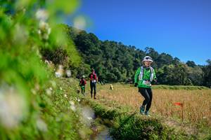 BIB: 
                            <button type="button" onclick="openModal(26581106)" class="btn btn-primary btn-sm float-right btn-popup" data-toggle="modal" data-target=".modal-high-quality">
                        <i class="fas fa-shopping-cart"></i> Add to Cart
                    </button>
                                            <button type="button" onclick="isThisMe(26581106, true)" class="btn btn-success btn-sm float-right btn-popup btn-isme hidden" data-toggle="tooltip" data-placement="bottom" title="นี่คือรูปของคุณใช่ไหม คลิกที่นี่เพื่อเอาเข้าอัลบั้ม">
                        <i class="fas fa-plus"></i> Add to album
                    </button>
                    <button type="button" onclick="isThisMe(26581106, false)" class="btn btn-warning btn-sm float-right btn-popup btn-isnotme hidden">
                        <i class="fas fa-ban"></i> Remove from album
                    </button>