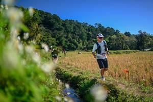 BIB: 
                            <button type="button" onclick="openModal(26574705)" class="btn btn-primary btn-sm float-right btn-popup" data-toggle="modal" data-target=".modal-high-quality">
                        <i class="fas fa-shopping-cart"></i> Add to Cart
                    </button>
                                            <button type="button" onclick="isThisMe(26574705, true)" class="btn btn-success btn-sm float-right btn-popup btn-isme hidden" data-toggle="tooltip" data-placement="bottom" title="นี่คือรูปของคุณใช่ไหม คลิกที่นี่เพื่อเอาเข้าอัลบั้ม">
                        <i class="fas fa-plus"></i> Add to album
                    </button>
                    <button type="button" onclick="isThisMe(26574705, false)" class="btn btn-warning btn-sm float-right btn-popup btn-isnotme hidden">
                        <i class="fas fa-ban"></i> Remove from album
                    </button>