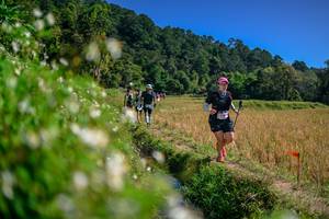 BIB: 
                            <button type="button" onclick="openModal(26582660)" class="btn btn-primary btn-sm float-right btn-popup" data-toggle="modal" data-target=".modal-high-quality">
                        <i class="fas fa-shopping-cart"></i> Add to Cart
                    </button>
                                            <button type="button" onclick="isThisMe(26582660, true)" class="btn btn-success btn-sm float-right btn-popup btn-isme hidden" data-toggle="tooltip" data-placement="bottom" title="นี่คือรูปของคุณใช่ไหม คลิกที่นี่เพื่อเอาเข้าอัลบั้ม">
                        <i class="fas fa-plus"></i> Add to album
                    </button>
                    <button type="button" onclick="isThisMe(26582660, false)" class="btn btn-warning btn-sm float-right btn-popup btn-isnotme hidden">
                        <i class="fas fa-ban"></i> Remove from album
                    </button>