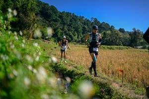 BIB: 
                            <button type="button" onclick="openModal(26576353)" class="btn btn-primary btn-sm float-right btn-popup" data-toggle="modal" data-target=".modal-high-quality">
                        <i class="fas fa-shopping-cart"></i> Add to Cart
                    </button>
                                            <button type="button" onclick="isThisMe(26576353, true)" class="btn btn-success btn-sm float-right btn-popup btn-isme hidden" data-toggle="tooltip" data-placement="bottom" title="นี่คือรูปของคุณใช่ไหม คลิกที่นี่เพื่อเอาเข้าอัลบั้ม">
                        <i class="fas fa-plus"></i> Add to album
                    </button>
                    <button type="button" onclick="isThisMe(26576353, false)" class="btn btn-warning btn-sm float-right btn-popup btn-isnotme hidden">
                        <i class="fas fa-ban"></i> Remove from album
                    </button>