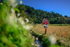 BIB: 
                            <button type="button" onclick="openModal(26573893)" class="btn btn-primary btn-sm float-right btn-popup" data-toggle="modal" data-target=".modal-high-quality">
                        <i class="fas fa-shopping-cart"></i> Add to Cart
                    </button>
                                            <button type="button" onclick="isThisMe(26573893, true)" class="btn btn-success btn-sm float-right btn-popup btn-isme hidden" data-toggle="tooltip" data-placement="bottom" title="นี่คือรูปของคุณใช่ไหม คลิกที่นี่เพื่อเอาเข้าอัลบั้ม">
                        <i class="fas fa-plus"></i> Add to album
                    </button>
                    <button type="button" onclick="isThisMe(26573893, false)" class="btn btn-warning btn-sm float-right btn-popup btn-isnotme hidden">
                        <i class="fas fa-ban"></i> Remove from album
                    </button>