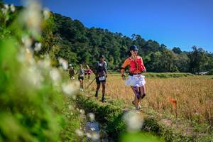 BIB: 
                            <button type="button" onclick="openModal(26575322)" class="btn btn-primary btn-sm float-right btn-popup" data-toggle="modal" data-target=".modal-high-quality">
                        <i class="fas fa-shopping-cart"></i> Add to Cart
                    </button>
                                            <button type="button" onclick="isThisMe(26575322, true)" class="btn btn-success btn-sm float-right btn-popup btn-isme hidden" data-toggle="tooltip" data-placement="bottom" title="นี่คือรูปของคุณใช่ไหม คลิกที่นี่เพื่อเอาเข้าอัลบั้ม">
                        <i class="fas fa-plus"></i> Add to album
                    </button>
                    <button type="button" onclick="isThisMe(26575322, false)" class="btn btn-warning btn-sm float-right btn-popup btn-isnotme hidden">
                        <i class="fas fa-ban"></i> Remove from album
                    </button>