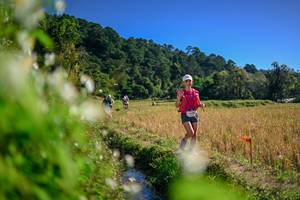 BIB: 
                            <button type="button" onclick="openModal(26574893)" class="btn btn-primary btn-sm float-right btn-popup" data-toggle="modal" data-target=".modal-high-quality">
                        <i class="fas fa-shopping-cart"></i> Add to Cart
                    </button>
                                            <button type="button" onclick="isThisMe(26574893, true)" class="btn btn-success btn-sm float-right btn-popup btn-isme hidden" data-toggle="tooltip" data-placement="bottom" title="นี่คือรูปของคุณใช่ไหม คลิกที่นี่เพื่อเอาเข้าอัลบั้ม">
                        <i class="fas fa-plus"></i> Add to album
                    </button>
                    <button type="button" onclick="isThisMe(26574893, false)" class="btn btn-warning btn-sm float-right btn-popup btn-isnotme hidden">
                        <i class="fas fa-ban"></i> Remove from album
                    </button>