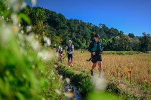 BIB: 
                            <button type="button" onclick="openModal(26574904)" class="btn btn-primary btn-sm float-right btn-popup" data-toggle="modal" data-target=".modal-high-quality">
                        <i class="fas fa-shopping-cart"></i> Add to Cart
                    </button>
                                            <button type="button" onclick="isThisMe(26574904, true)" class="btn btn-success btn-sm float-right btn-popup btn-isme hidden" data-toggle="tooltip" data-placement="bottom" title="นี่คือรูปของคุณใช่ไหม คลิกที่นี่เพื่อเอาเข้าอัลบั้ม">
                        <i class="fas fa-plus"></i> Add to album
                    </button>
                    <button type="button" onclick="isThisMe(26574904, false)" class="btn btn-warning btn-sm float-right btn-popup btn-isnotme hidden">
                        <i class="fas fa-ban"></i> Remove from album
                    </button>