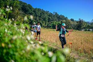 BIB: 
                            <button type="button" onclick="openModal(26581296)" class="btn btn-primary btn-sm float-right btn-popup" data-toggle="modal" data-target=".modal-high-quality">
                        <i class="fas fa-shopping-cart"></i> Add to Cart
                    </button>
                                            <button type="button" onclick="isThisMe(26581296, true)" class="btn btn-success btn-sm float-right btn-popup btn-isme hidden" data-toggle="tooltip" data-placement="bottom" title="นี่คือรูปของคุณใช่ไหม คลิกที่นี่เพื่อเอาเข้าอัลบั้ม">
                        <i class="fas fa-plus"></i> Add to album
                    </button>
                    <button type="button" onclick="isThisMe(26581296, false)" class="btn btn-warning btn-sm float-right btn-popup btn-isnotme hidden">
                        <i class="fas fa-ban"></i> Remove from album
                    </button>