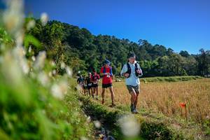 BIB: 
                            <button type="button" onclick="openModal(26572644)" class="btn btn-primary btn-sm float-right btn-popup" data-toggle="modal" data-target=".modal-high-quality">
                        <i class="fas fa-shopping-cart"></i> Add to Cart
                    </button>
                                            <button type="button" onclick="isThisMe(26572644, true)" class="btn btn-success btn-sm float-right btn-popup btn-isme hidden" data-toggle="tooltip" data-placement="bottom" title="นี่คือรูปของคุณใช่ไหม คลิกที่นี่เพื่อเอาเข้าอัลบั้ม">
                        <i class="fas fa-plus"></i> Add to album
                    </button>
                    <button type="button" onclick="isThisMe(26572644, false)" class="btn btn-warning btn-sm float-right btn-popup btn-isnotme hidden">
                        <i class="fas fa-ban"></i> Remove from album
                    </button>