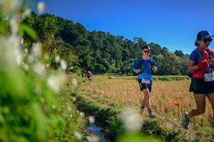 BIB: 
                            <button type="button" onclick="openModal(26573006)" class="btn btn-primary btn-sm float-right btn-popup" data-toggle="modal" data-target=".modal-high-quality">
                        <i class="fas fa-shopping-cart"></i> Add to Cart
                    </button>
                                            <button type="button" onclick="isThisMe(26573006, true)" class="btn btn-success btn-sm float-right btn-popup btn-isme hidden" data-toggle="tooltip" data-placement="bottom" title="นี่คือรูปของคุณใช่ไหม คลิกที่นี่เพื่อเอาเข้าอัลบั้ม">
                        <i class="fas fa-plus"></i> Add to album
                    </button>
                    <button type="button" onclick="isThisMe(26573006, false)" class="btn btn-warning btn-sm float-right btn-popup btn-isnotme hidden">
                        <i class="fas fa-ban"></i> Remove from album
                    </button>