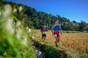 BIB: 
                            <button type="button" onclick="openModal(26571496)" class="btn btn-primary btn-sm float-right btn-popup" data-toggle="modal" data-target=".modal-high-quality">
                        <i class="fas fa-shopping-cart"></i> Add to Cart
                    </button>
                                            <button type="button" onclick="isThisMe(26571496, true)" class="btn btn-success btn-sm float-right btn-popup btn-isme hidden" data-toggle="tooltip" data-placement="bottom" title="นี่คือรูปของคุณใช่ไหม คลิกที่นี่เพื่อเอาเข้าอัลบั้ม">
                        <i class="fas fa-plus"></i> Add to album
                    </button>
                    <button type="button" onclick="isThisMe(26571496, false)" class="btn btn-warning btn-sm float-right btn-popup btn-isnotme hidden">
                        <i class="fas fa-ban"></i> Remove from album
                    </button>