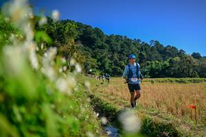 BIB: 
                            <button type="button" onclick="openModal(26573235)" class="btn btn-primary btn-sm float-right btn-popup" data-toggle="modal" data-target=".modal-high-quality">
                        <i class="fas fa-shopping-cart"></i> Add to Cart
                    </button>
                                            <button type="button" onclick="isThisMe(26573235, true)" class="btn btn-success btn-sm float-right btn-popup btn-isme hidden" data-toggle="tooltip" data-placement="bottom" title="นี่คือรูปของคุณใช่ไหม คลิกที่นี่เพื่อเอาเข้าอัลบั้ม">
                        <i class="fas fa-plus"></i> Add to album
                    </button>
                    <button type="button" onclick="isThisMe(26573235, false)" class="btn btn-warning btn-sm float-right btn-popup btn-isnotme hidden">
                        <i class="fas fa-ban"></i> Remove from album
                    </button>