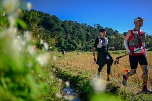 BIB: 
                            <button type="button" onclick="openModal(26573584)" class="btn btn-primary btn-sm float-right btn-popup" data-toggle="modal" data-target=".modal-high-quality">
                        <i class="fas fa-shopping-cart"></i> Add to Cart
                    </button>
                                            <button type="button" onclick="isThisMe(26573584, true)" class="btn btn-success btn-sm float-right btn-popup btn-isme hidden" data-toggle="tooltip" data-placement="bottom" title="นี่คือรูปของคุณใช่ไหม คลิกที่นี่เพื่อเอาเข้าอัลบั้ม">
                        <i class="fas fa-plus"></i> Add to album
                    </button>
                    <button type="button" onclick="isThisMe(26573584, false)" class="btn btn-warning btn-sm float-right btn-popup btn-isnotme hidden">
                        <i class="fas fa-ban"></i> Remove from album
                    </button>