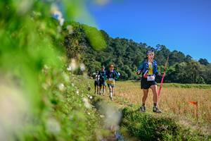 BIB: 
                            <button type="button" onclick="openModal(26581209)" class="btn btn-primary btn-sm float-right btn-popup" data-toggle="modal" data-target=".modal-high-quality">
                        <i class="fas fa-shopping-cart"></i> Add to Cart
                    </button>
                                            <button type="button" onclick="isThisMe(26581209, true)" class="btn btn-success btn-sm float-right btn-popup btn-isme hidden" data-toggle="tooltip" data-placement="bottom" title="นี่คือรูปของคุณใช่ไหม คลิกที่นี่เพื่อเอาเข้าอัลบั้ม">
                        <i class="fas fa-plus"></i> Add to album
                    </button>
                    <button type="button" onclick="isThisMe(26581209, false)" class="btn btn-warning btn-sm float-right btn-popup btn-isnotme hidden">
                        <i class="fas fa-ban"></i> Remove from album
                    </button>