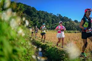 BIB: 
                            <button type="button" onclick="openModal(26571915)" class="btn btn-primary btn-sm float-right btn-popup" data-toggle="modal" data-target=".modal-high-quality">
                        <i class="fas fa-shopping-cart"></i> Add to Cart
                    </button>
                                            <button type="button" onclick="isThisMe(26571915, true)" class="btn btn-success btn-sm float-right btn-popup btn-isme hidden" data-toggle="tooltip" data-placement="bottom" title="นี่คือรูปของคุณใช่ไหม คลิกที่นี่เพื่อเอาเข้าอัลบั้ม">
                        <i class="fas fa-plus"></i> Add to album
                    </button>
                    <button type="button" onclick="isThisMe(26571915, false)" class="btn btn-warning btn-sm float-right btn-popup btn-isnotme hidden">
                        <i class="fas fa-ban"></i> Remove from album
                    </button>