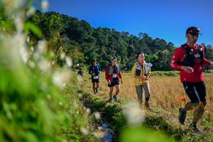 BIB: 
                            <button type="button" onclick="openModal(26573073)" class="btn btn-primary btn-sm float-right btn-popup" data-toggle="modal" data-target=".modal-high-quality">
                        <i class="fas fa-shopping-cart"></i> Add to Cart
                    </button>
                                            <button type="button" onclick="isThisMe(26573073, true)" class="btn btn-success btn-sm float-right btn-popup btn-isme hidden" data-toggle="tooltip" data-placement="bottom" title="นี่คือรูปของคุณใช่ไหม คลิกที่นี่เพื่อเอาเข้าอัลบั้ม">
                        <i class="fas fa-plus"></i> Add to album
                    </button>
                    <button type="button" onclick="isThisMe(26573073, false)" class="btn btn-warning btn-sm float-right btn-popup btn-isnotme hidden">
                        <i class="fas fa-ban"></i> Remove from album
                    </button>