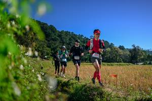 BIB: 
                            <button type="button" onclick="openModal(26579843)" class="btn btn-primary btn-sm float-right btn-popup" data-toggle="modal" data-target=".modal-high-quality">
                        <i class="fas fa-shopping-cart"></i> Add to Cart
                    </button>
                                            <button type="button" onclick="isThisMe(26579843, true)" class="btn btn-success btn-sm float-right btn-popup btn-isme hidden" data-toggle="tooltip" data-placement="bottom" title="นี่คือรูปของคุณใช่ไหม คลิกที่นี่เพื่อเอาเข้าอัลบั้ม">
                        <i class="fas fa-plus"></i> Add to album
                    </button>
                    <button type="button" onclick="isThisMe(26579843, false)" class="btn btn-warning btn-sm float-right btn-popup btn-isnotme hidden">
                        <i class="fas fa-ban"></i> Remove from album
                    </button>