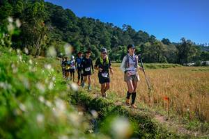 BIB: 
                            <button type="button" onclick="openModal(26576204)" class="btn btn-primary btn-sm float-right btn-popup" data-toggle="modal" data-target=".modal-high-quality">
                        <i class="fas fa-shopping-cart"></i> Add to Cart
                    </button>
                                            <button type="button" onclick="isThisMe(26576204, true)" class="btn btn-success btn-sm float-right btn-popup btn-isme hidden" data-toggle="tooltip" data-placement="bottom" title="นี่คือรูปของคุณใช่ไหม คลิกที่นี่เพื่อเอาเข้าอัลบั้ม">
                        <i class="fas fa-plus"></i> Add to album
                    </button>
                    <button type="button" onclick="isThisMe(26576204, false)" class="btn btn-warning btn-sm float-right btn-popup btn-isnotme hidden">
                        <i class="fas fa-ban"></i> Remove from album
                    </button>