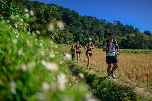 BIB: 
                            <button type="button" onclick="openModal(26583082)" class="btn btn-primary btn-sm float-right btn-popup" data-toggle="modal" data-target=".modal-high-quality">
                        <i class="fas fa-shopping-cart"></i> Add to Cart
                    </button>
                                            <button type="button" onclick="isThisMe(26583082, true)" class="btn btn-success btn-sm float-right btn-popup btn-isme hidden" data-toggle="tooltip" data-placement="bottom" title="นี่คือรูปของคุณใช่ไหม คลิกที่นี่เพื่อเอาเข้าอัลบั้ม">
                        <i class="fas fa-plus"></i> Add to album
                    </button>
                    <button type="button" onclick="isThisMe(26583082, false)" class="btn btn-warning btn-sm float-right btn-popup btn-isnotme hidden">
                        <i class="fas fa-ban"></i> Remove from album
                    </button>