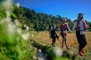 BIB: 
                            <button type="button" onclick="openModal(26573576)" class="btn btn-primary btn-sm float-right btn-popup" data-toggle="modal" data-target=".modal-high-quality">
                        <i class="fas fa-shopping-cart"></i> Add to Cart
                    </button>
                                            <button type="button" onclick="isThisMe(26573576, true)" class="btn btn-success btn-sm float-right btn-popup btn-isme hidden" data-toggle="tooltip" data-placement="bottom" title="นี่คือรูปของคุณใช่ไหม คลิกที่นี่เพื่อเอาเข้าอัลบั้ม">
                        <i class="fas fa-plus"></i> Add to album
                    </button>
                    <button type="button" onclick="isThisMe(26573576, false)" class="btn btn-warning btn-sm float-right btn-popup btn-isnotme hidden">
                        <i class="fas fa-ban"></i> Remove from album
                    </button>